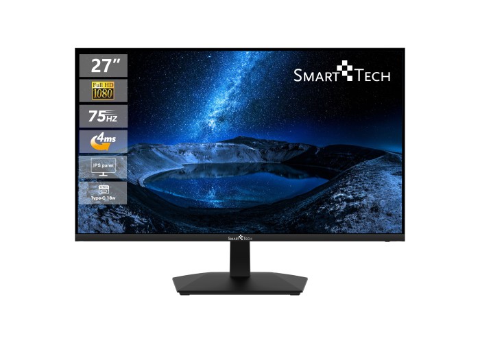  27" Business Monitor