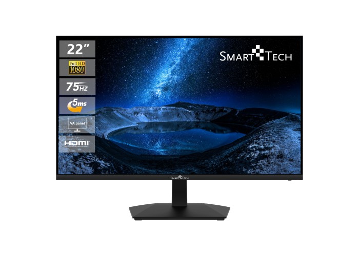  22" Business Monitor