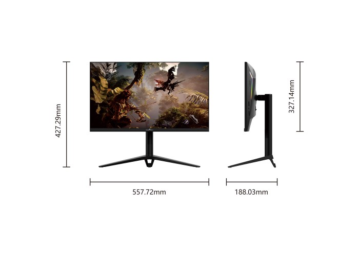  25" Gaming Monitor