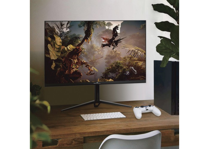  25" Gaming Monitor