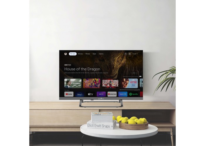 24" VC HD Google TV™