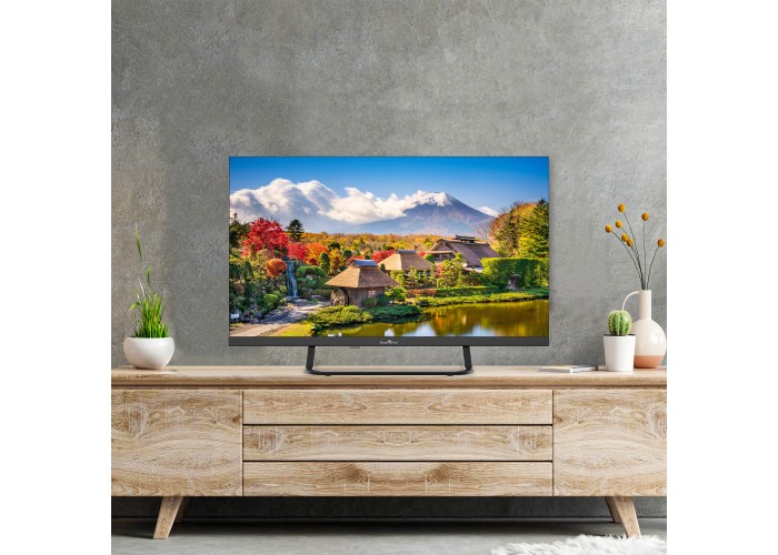 24" 1V HD LED TV