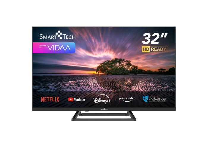 32" V3 HD LED VIDAA Smart TV