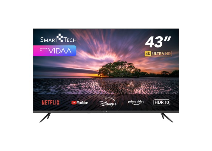 43" V1 4K UHD LED VIDAA Smart TV