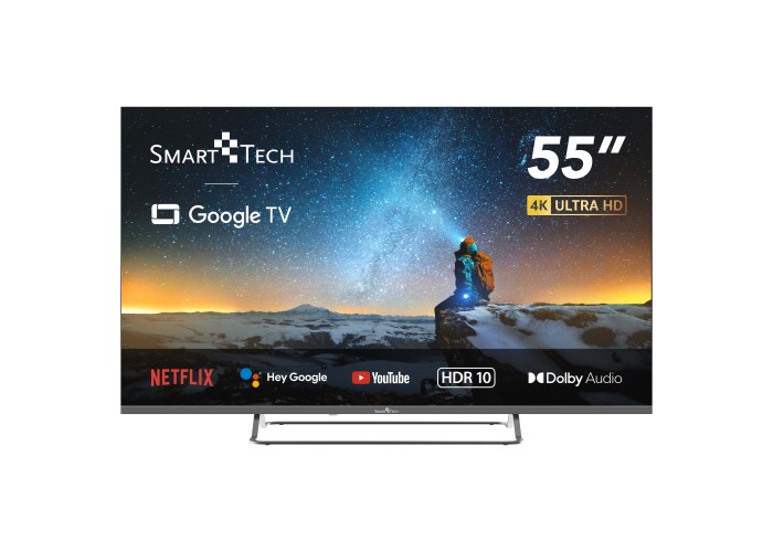 55" 2V 4K Ultra HD Google TV™
