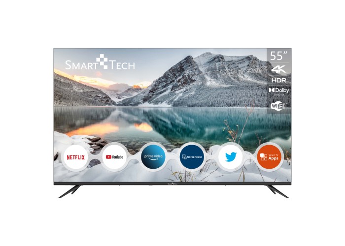 55" V1 4K Ultra HD Smart TV™