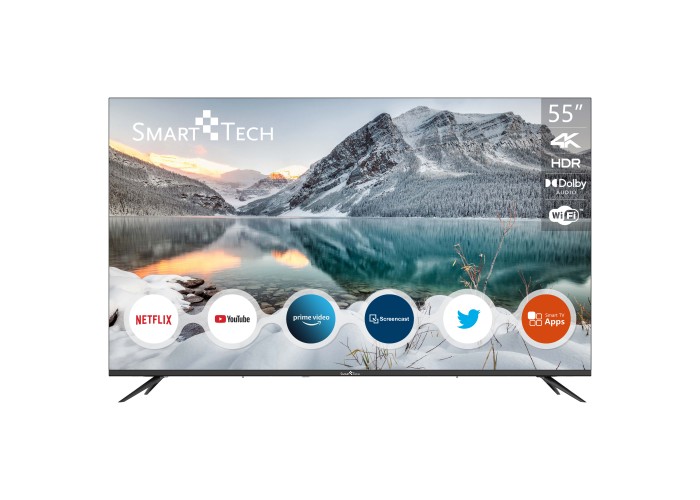 55" V1 4K Ultra HD Smart TV™