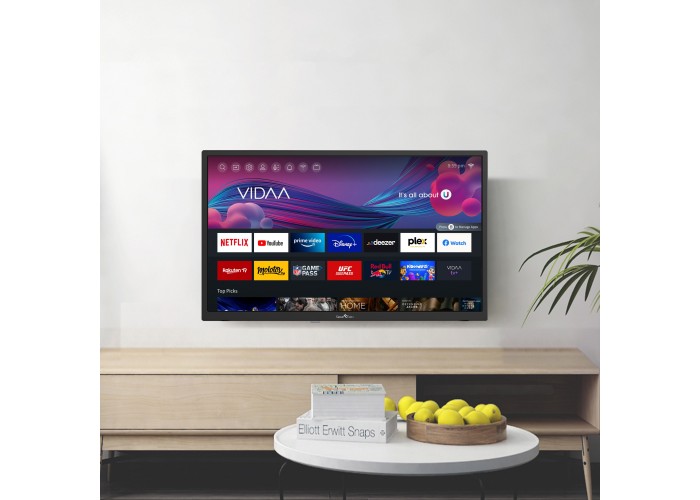 24" T1 HD LED VIDAA Smart TV